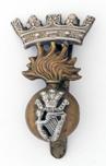 Image result for royal irish fusiliers cap badge ww2 images