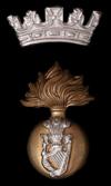 Image result for royal irish fusiliers ww2 cap badge